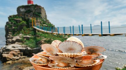 Владивосток «На гребне» будет уже в четвертый раз