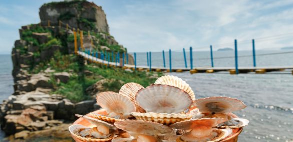 Владивосток «На гребне» будет уже в четвертый раз