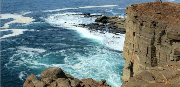 Шамору выбирают местные, красоты Тобизина предпочитают гости региона