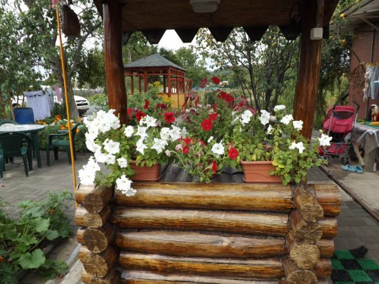 Россельхозбанк делает ставку на аграрный туризм