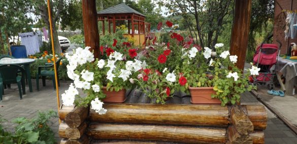 Россельхозбанк делает ставку на аграрный туризм