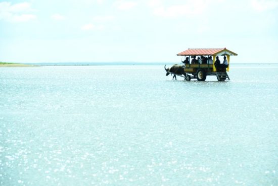 Райские острова и доисторические артефакты – новые объекты ЮНЕСКО в Японии