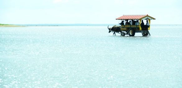 Райские острова и доисторические артефакты – новые объекты ЮНЕСКО в Японии