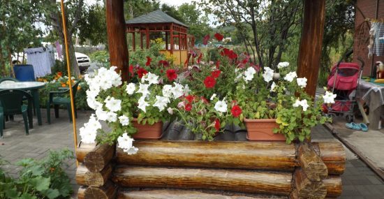 С 1 октября в Приморье отдых и реклама гостевых домов будут вне закона