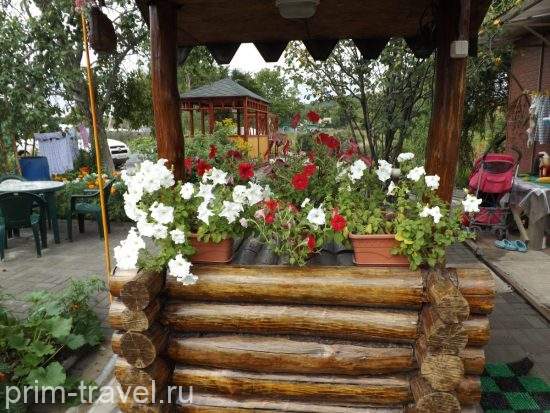 У приморцев в приоритете пляжи и дачи