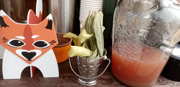 Вкусы, запахи и истории Уссурийской тайги на гастрофестивале Taigafest