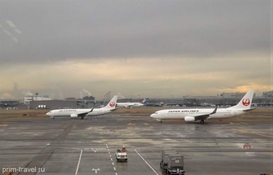 Японские компании JAL и ANA из-за вируса не могут возобновить полетную программу во Владивосток