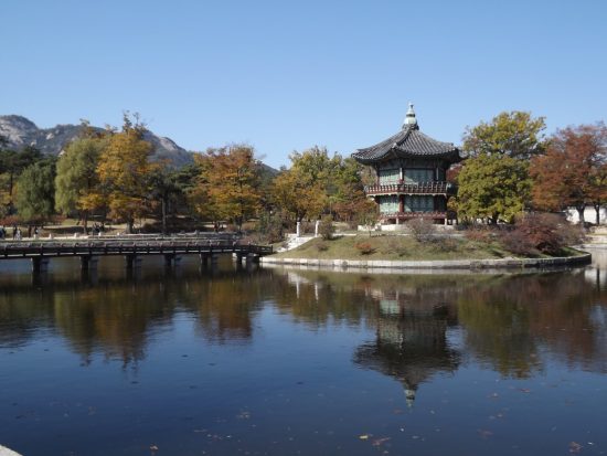 Когда настанет пора любоваться осенними красками: в Корее опубликовали прогноз поры танпхун