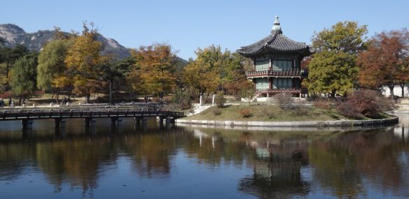 Когда настанет пора любоваться осенними красками: в Корее опубликовали прогноз поры танпхун