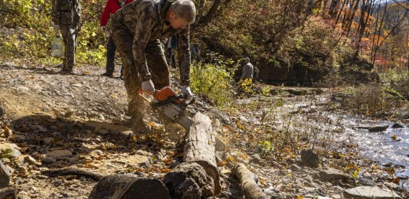 «Земля леопарда» и волонтёры навели порядок на Кравцовских водопадах
