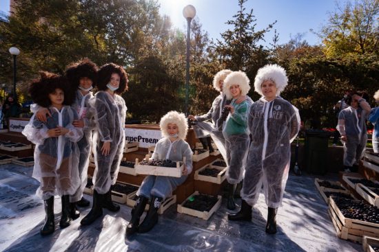 Грузинский праздник урожая уже во Владивостоке