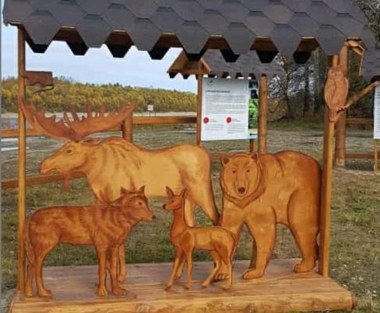 Знакомству с Норским заповедником добавили интерактивности