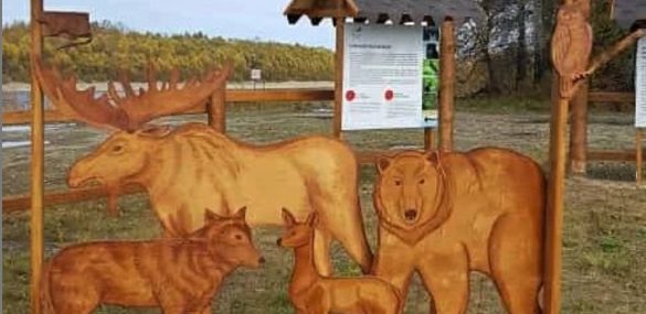 Знакомству с Норским заповедником добавили интерактивности