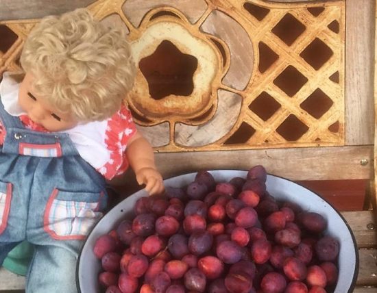 Приморские депутаты решили вывести сельский туризм на передовые позиции