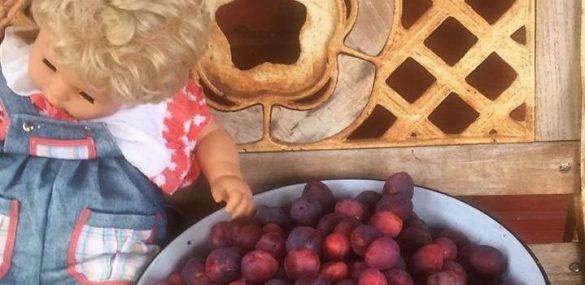 Приморские депутаты решили вывести сельский туризм на передовые позиции