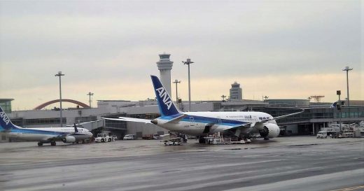 Японская авиакомпания ANA добавила чартерные рейсы между Владивостоком и Токио