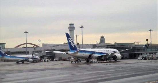 Японская авиакомпания ANA добавила чартерные рейсы между Владивостоком и Токио