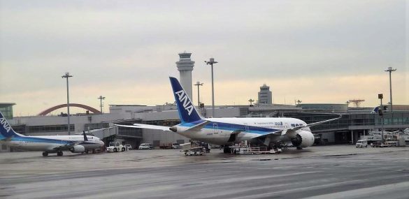 Японская авиакомпания ANA добавила чартерные рейсы между Владивостоком и Токио