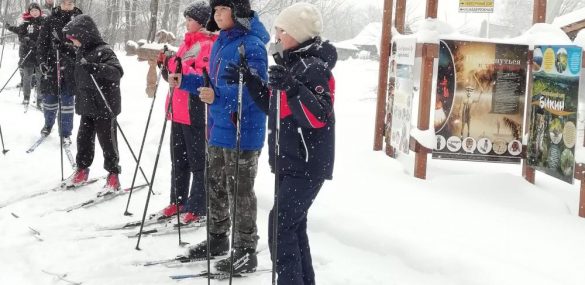 В Приморской тайге создали зону отдыха