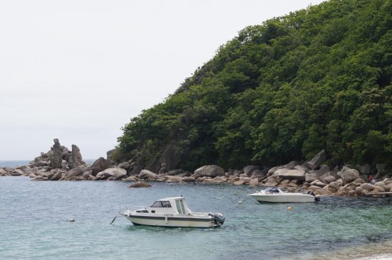 Пляжам Приморья пристальное внимание отдыхающих и бизнеса