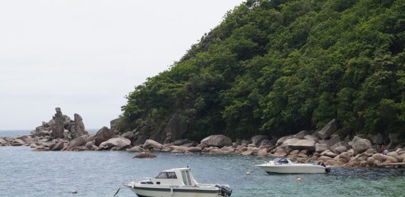 Пляжам Приморья пристальное внимание отдыхающих и бизнеса