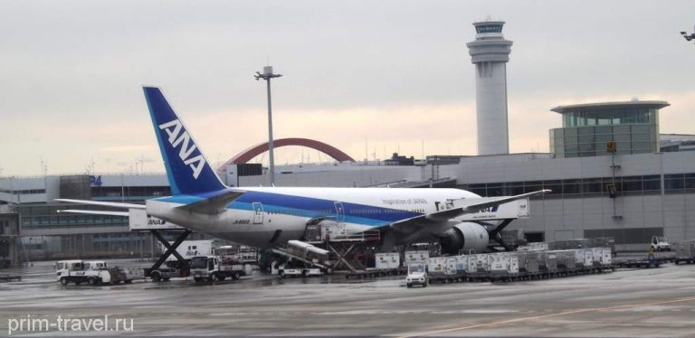 Начало рейса. All Nippon Airways в Домодедово. Ana Airlines Владивосток. Владивосток - Токио ана. Как бесплатно улететь во Владивосток.