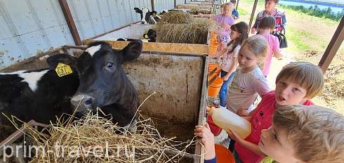 Более 2 тысяч приморцев приняли участие в организации экскурсий для школьников