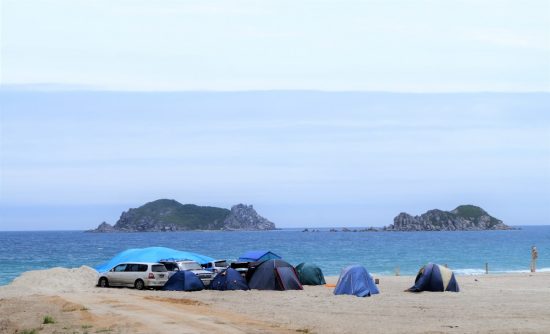 Инвестиционные проекты в бухте Муравьиная и Шкотово добавят бонусов в развитие туризма в крае