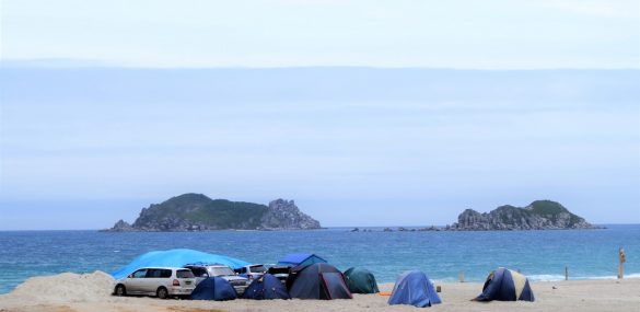 Приморские пляжи «подведут» под единый символ