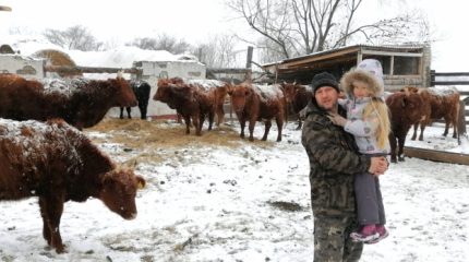 Тропы здоровья, народные праздники и удивительные коровы – все для будущих туристов на ДВ-гектаре в Шмакове