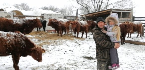 Тропы здоровья, народные праздники и удивительные коровы – все для будущих туристов на ДВ-гектаре в Шмакове