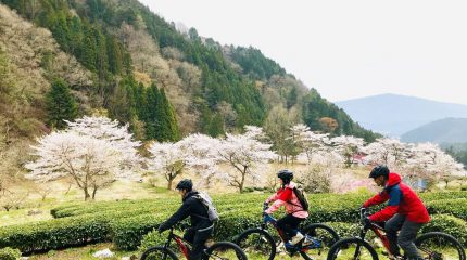 Япония предлагает путешественникам эксклюзивный отдых и роскошные впечатления