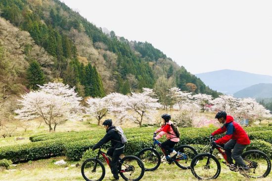 Япония предлагает путешественникам эксклюзивный отдых и роскошные впечатления