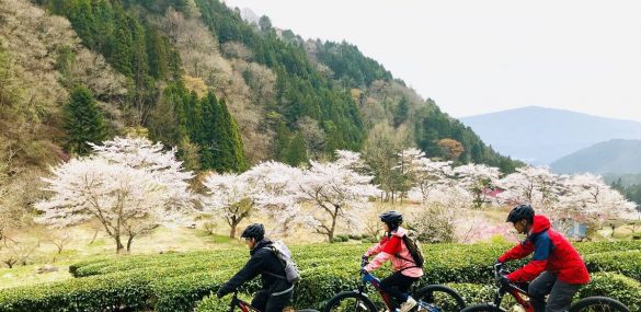 Япония предлагает путешественникам эксклюзивный отдых и роскошные впечатления