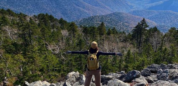 Идеи по развитию туризма на Дальнем Востоке в общую копилку