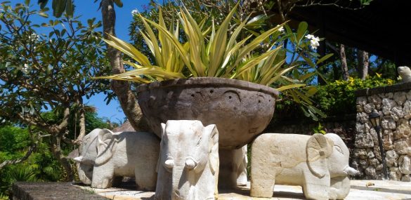 Россияне полетят в Индонезию и Китай. Но только из Москвы. И не все.