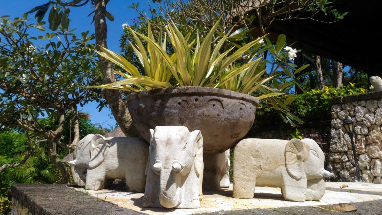 Россияне полетят в Индонезию и Китай. Но только из Москвы. И не все.