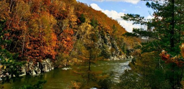 Сихотэ-Алинский заповедник и туркомпании Приморья разработают новые турпродукты на север края