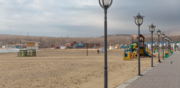 Шамора меняет свой облик