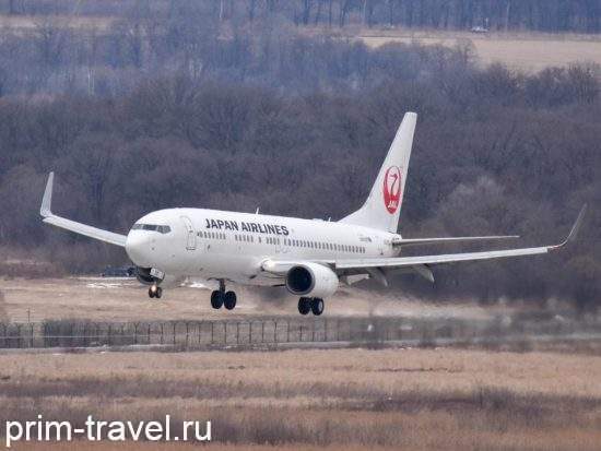 Japan Airlines из Владивостока не уходит, но рейсы пока откладывает