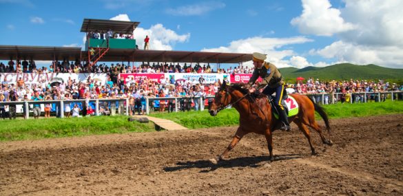 Первый фестиваль «Конные традиции России» пройдет во Владивостоке
