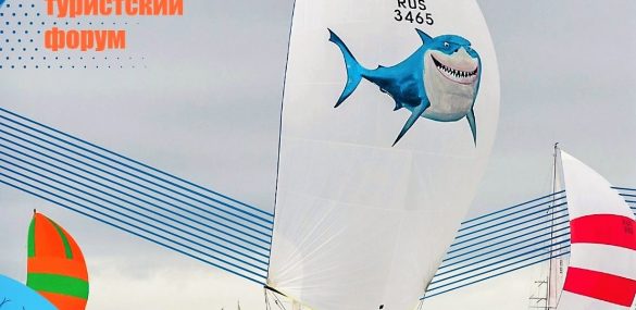 ТТФ-2022: сильные и слабые стороны Приморья, внимание волонтерам и краеведам, значимость сферы питания