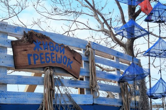 Первый День рождения гребешка отметили в Приморье интересно, вкусно и весело