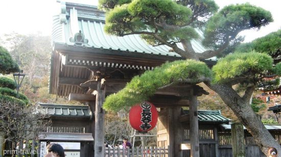 Япония готовится приоткрыть границы для иностранных туристов