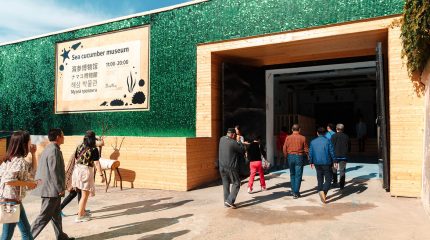 Первый юбилей Музея Трепанга во Владивостоке: бесплатные экскурсии и подарки всем гостям