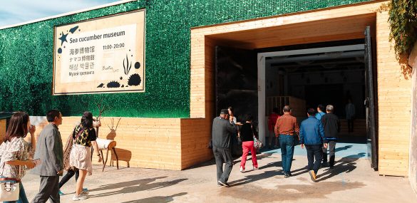 Первый юбилей Музея Трепанга во Владивостоке: бесплатные экскурсии и подарки всем гостям