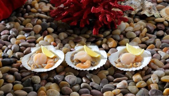 Достижения юбилейного фестиваля «На гребне»: все гости сыты и довольны