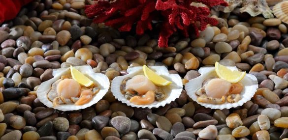 Достижения юбилейного фестиваля «На гребне»: все гости сыты и довольны