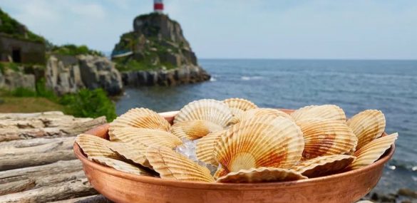 Фестиваль «На гребне!» в перечне лучших летних фестивалей России