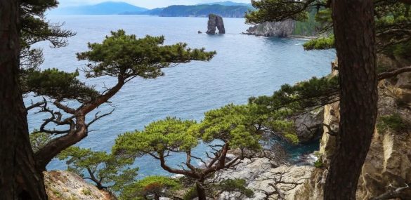 Путешествия по Дальнему Востоку вместе с S7 Airlines